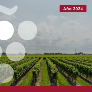 Exportaciones vitivinícolas por comunidades autónomas y provincias - AÑO 2024
