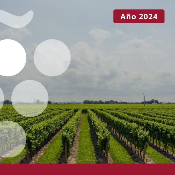Exportaciones vitivinícolas por comunidades autónomas y provincias - AÑO 2024