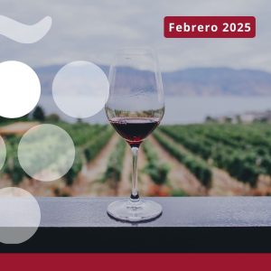 Análisis del consumo de vino en España a febrero de 2025