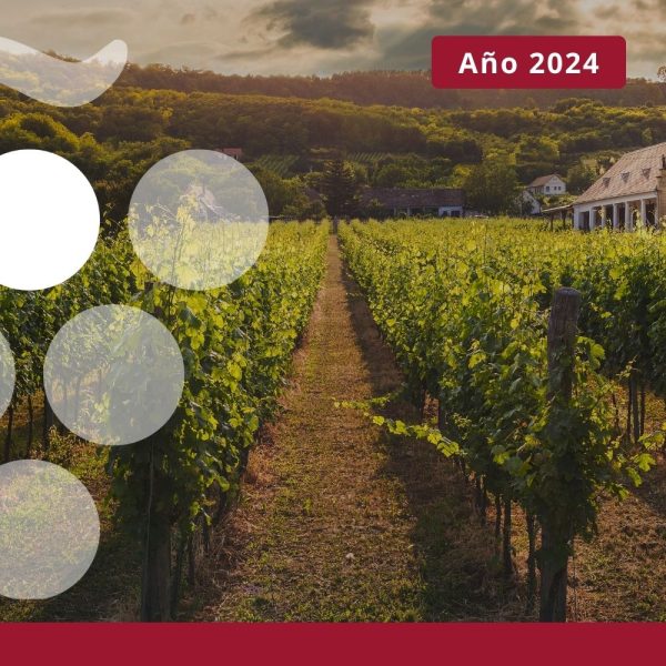 Exportaciones españolas de vino - AÑO 2024