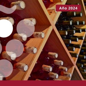 Perfil de la empresa exportadora de vino - AÑO 2024