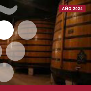 Perfil de la empresa exportadora de vino - AÑO 2024