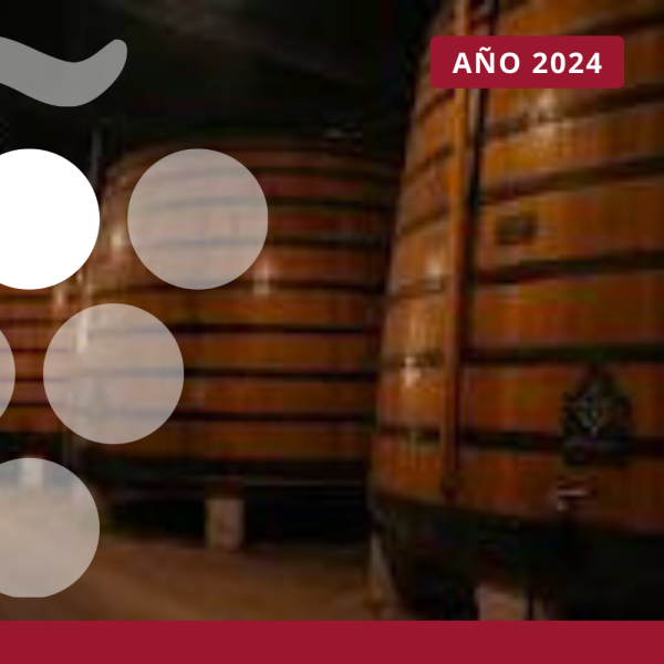 Perfil de la empresa exportadora de vino - AÑO 2024