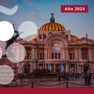 Importaciones de vino en MÉXICO - AÑO 2024