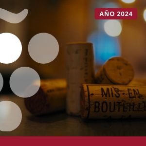 Importaciones españolas de vino - AÑO 2024