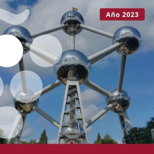 Importaciones de vino en BÉLGICA - Año 2023
