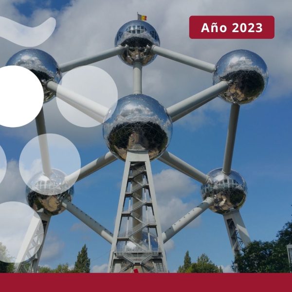 Importaciones de vino en BÉLGICA - Año 2023