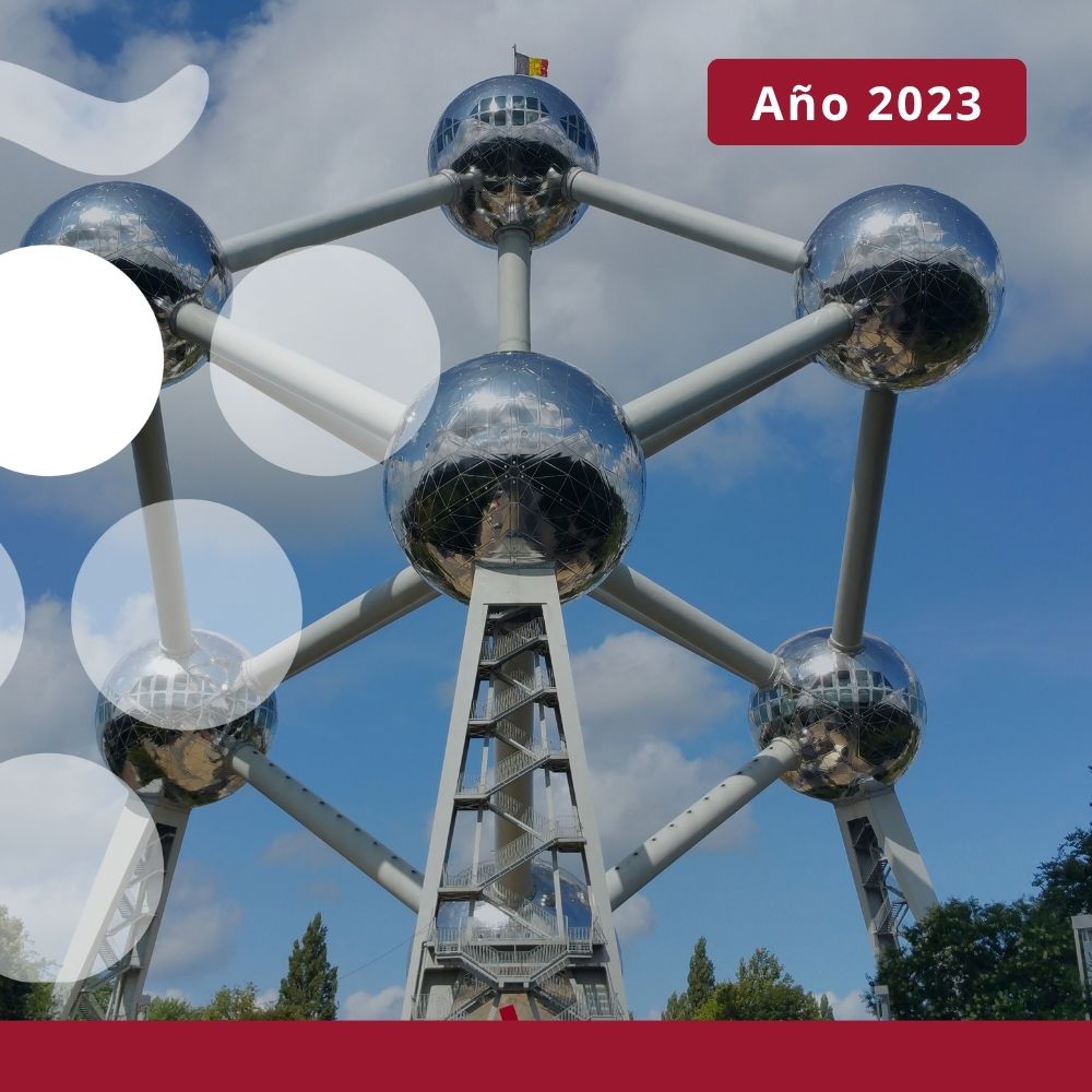 Importaciones de vino en BÉLGICA - Año 2023