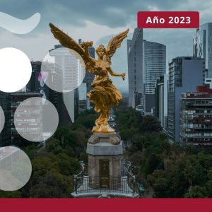 Importaciones de vino en MÉXICO - Año 2023