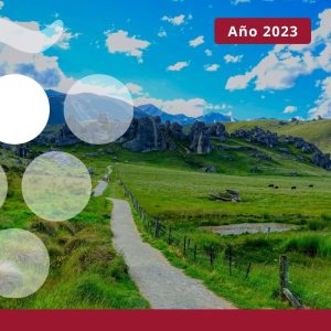 Exportaciones de vino en NUEVA ZELANDA - Año 2023