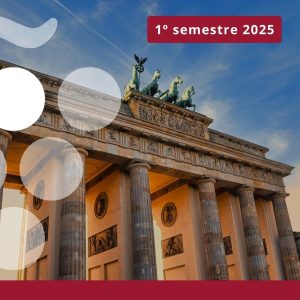 Importaciones de vino en ALEMANIA - Primer semestre 2025