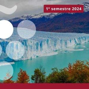 Exportaciones de vino en ARGENTINA - Primer semestre 2024