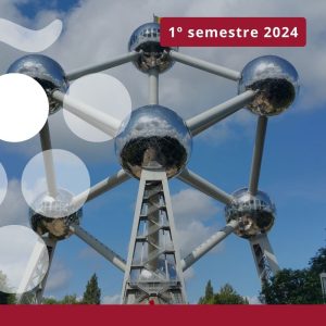 Importaciones de vino en BÉLGICA - Primer semestre 2024