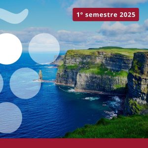 Importaciones de vino en IRLANDA - Primer semestre 2025