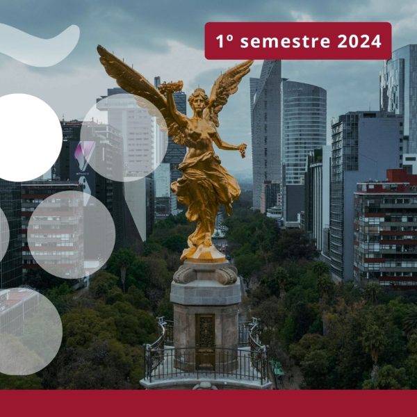 Importaciones de vino en MÉXICO- Primer semestre 2024