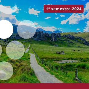 Exportaciones de vino en NUEVA ZELANDA - Primer semestre 2024