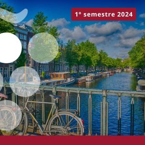 Importaciones de vino en PAÍSES BAJOS - Primer semestre 2024