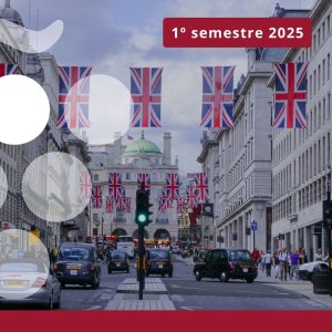Importaciones de vino en REINO UNIDO - Primer semestre 2025