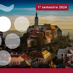 Importaciones de vino en REPÚBLICA DOMINICANA - Primer semestre 2024