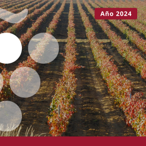 Estadísticas de producción ecológica - Año 2024