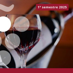 Principales exportadores mundiales de vino - Primer semestre 2025