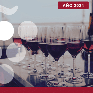 Consumo de vino en España en el canal alimentación - AÑO 2024