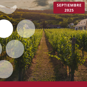 Exportaciones vitivinícolas por comunidades autónomas y provincias - SEPTIEMBRE 2025