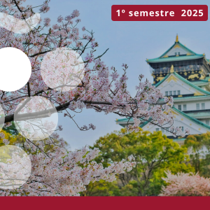 Importaciones de vino en JAPÓN - Primer semestre 2025