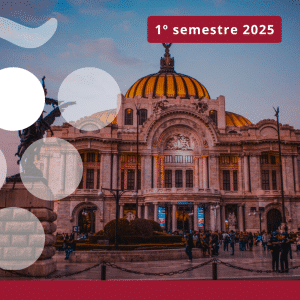 Importaciones de vino en MÉXICO - Primer semestre 2025
