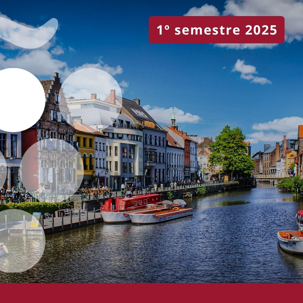 Importaciones de vino en BÉLGICA - Primer semestre 2025