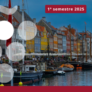 Importaciones de vino en DINAMARCA - Primer semestre 2025