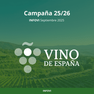 Informe económico INFOVI - Septiembre 2025