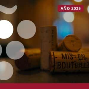 Importaciones españolas de vino - AÑO 2025