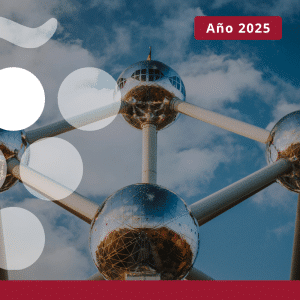 Importaciones de vino en BÉLGICA - Año 2025