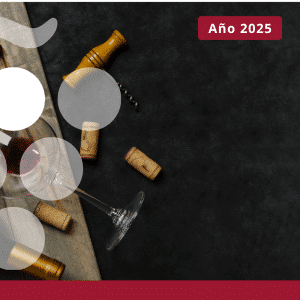 Principales importadores mundiales de vino - AÑO 2025