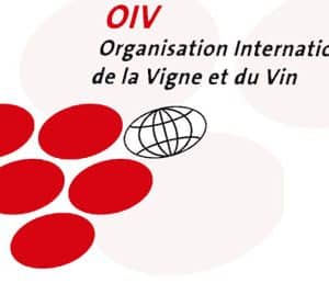 Nota coyuntura mundial OIV - 2025