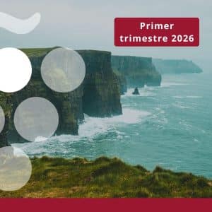 Importaciones de vino en IRLANDA - 1er Trimestre 2026