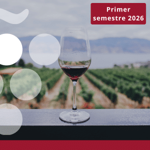 Exportaciones vitivinícolas por comunidades autónomas y provincias - JUNIO 2026